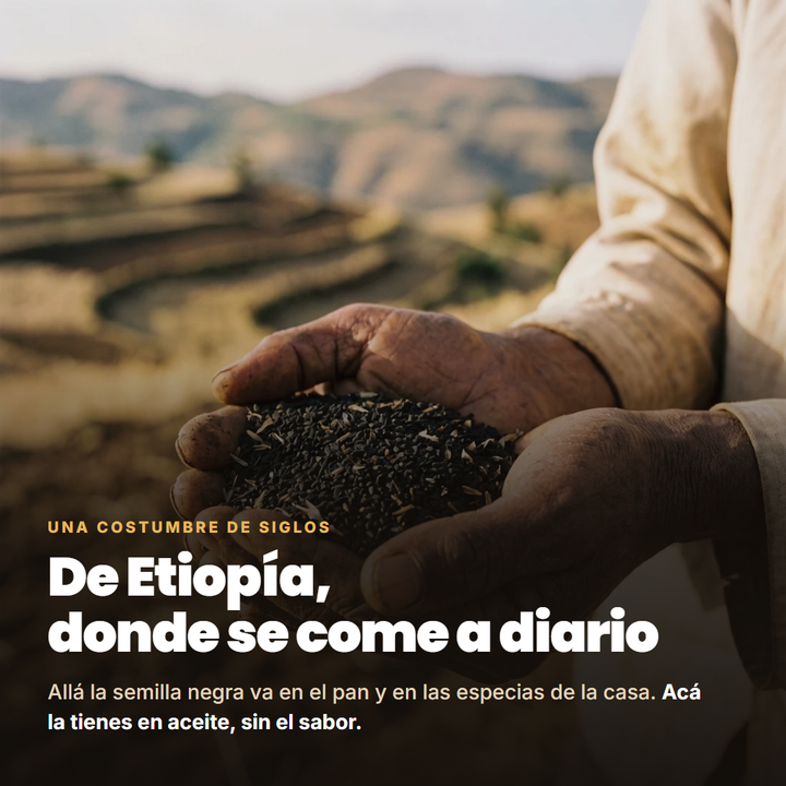 Semilla negra de Etiopía, donde se come a diario