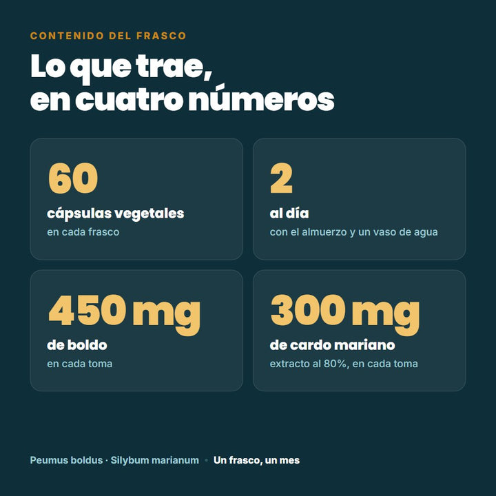Contenido del frasco: 60 cápsulas vegetales, 2 al día, 450 mg de boldo y 300 mg de cardo mariano por toma