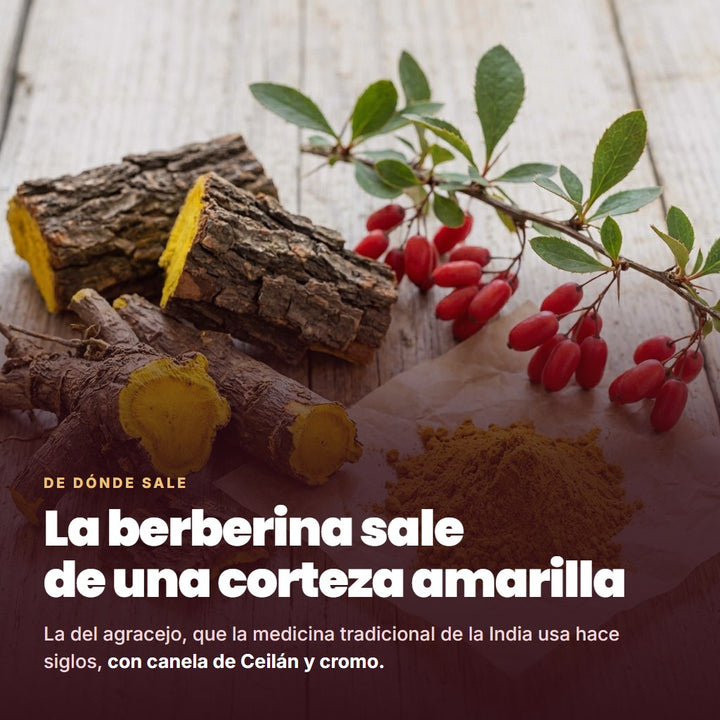 La berberina sale de una corteza amarilla