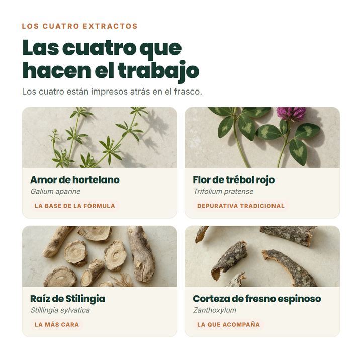 Las cuatro plantas de la fórmula con su nombre botánico