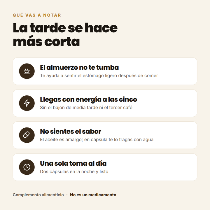 Qué vas a notar: el almuerzo no te tumba, energía a las cinco, sin sabor, una toma al día