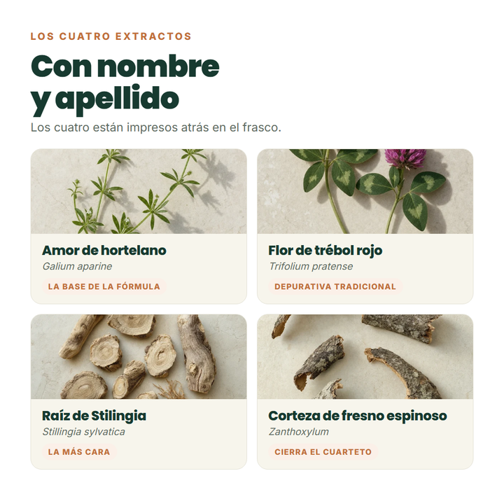 Los cuatro extractos con su nombre botánico