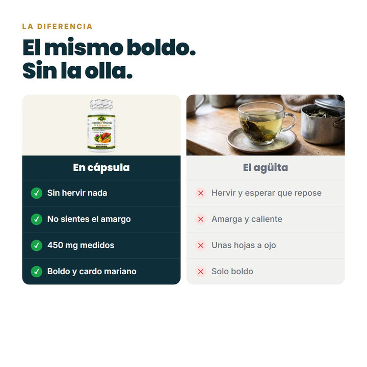 El mismo boldo, sin la olla: cápsula contra agüita de boldo